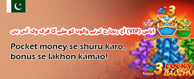 ہفتہ وار وی آئی پی کیش بیک